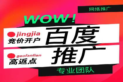 SEM推广与竞价代运营结合的实战案例分析